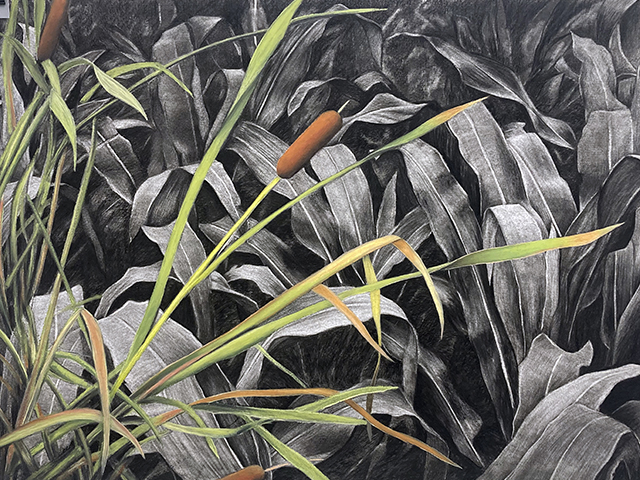 Exposición: Ecologías del colapso