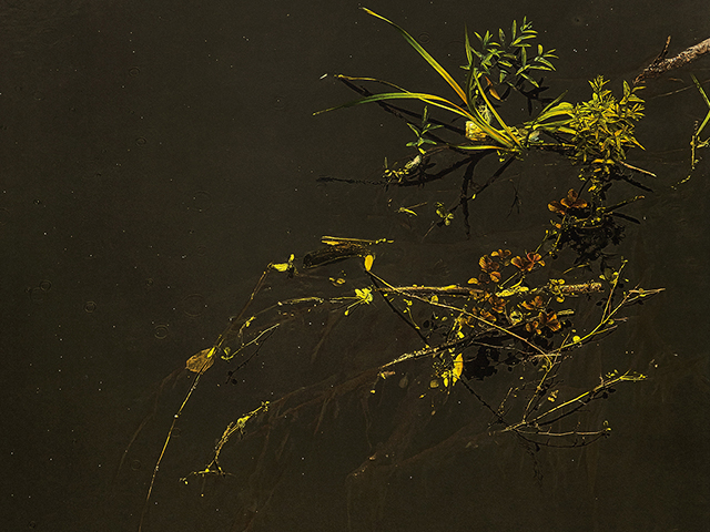 Exposición: XXVII Certamen de Grabado José Caballero Ganadores y seleccionados