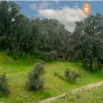 Imagen aerea del sendero de la Finca Los Viales para Vista Resumen