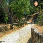 Imagen Majalacabra para la vista