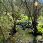 Vista resumen de la ruta del Arroyo de la Torre