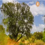 Vista resumen de la ruta de la Ciudad del Fútbol