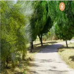 Vista resumen de la ruta La Marazuela-El Tejar