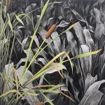 Exposición: Ecologías del colapso