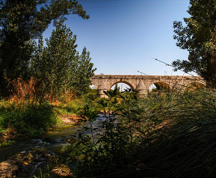 Red de Turismo inteligente