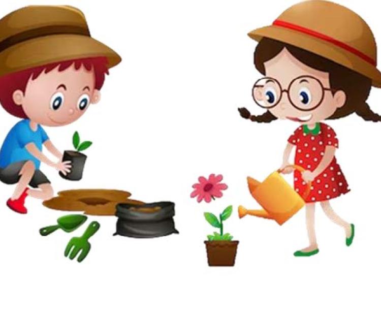 Semillado infantil marzo 2026