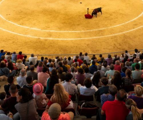 Cartel de lujo para este sábado en el II Festival de Primavera